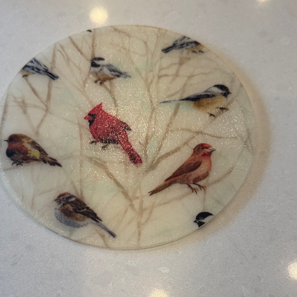 Bird-Themed Kitchen rubber trivet coaster double sided